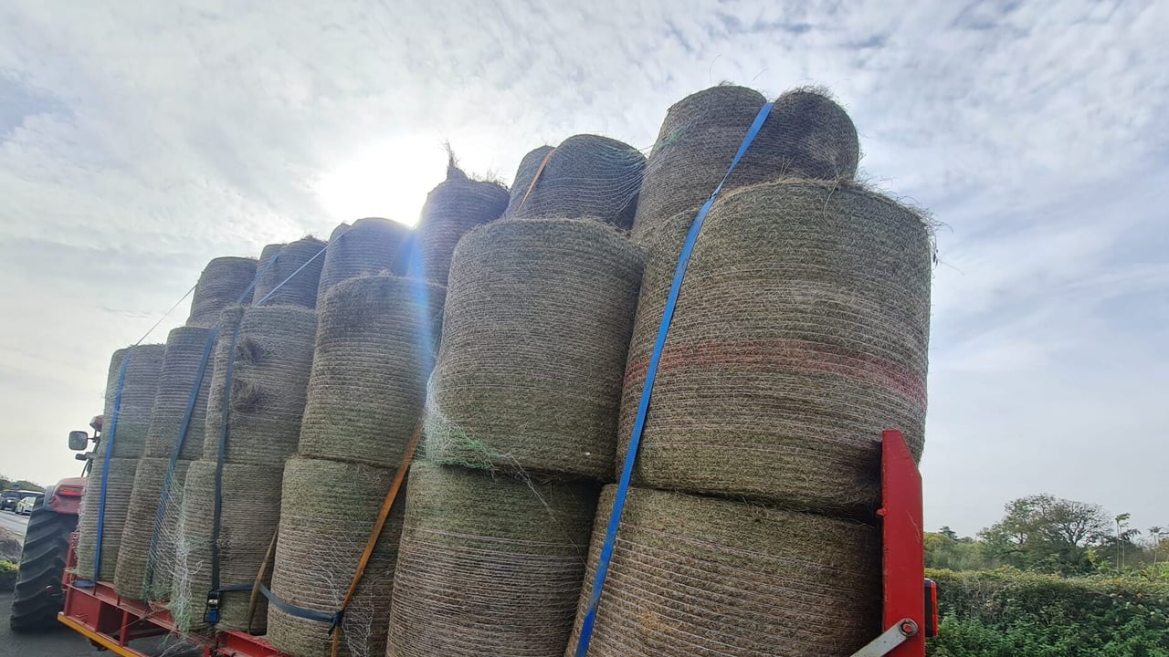 Gardaí stop tractor and trailer with a heavy load attempting to cross a weight-restricted bridge. Source: An Garda Síochána, X 