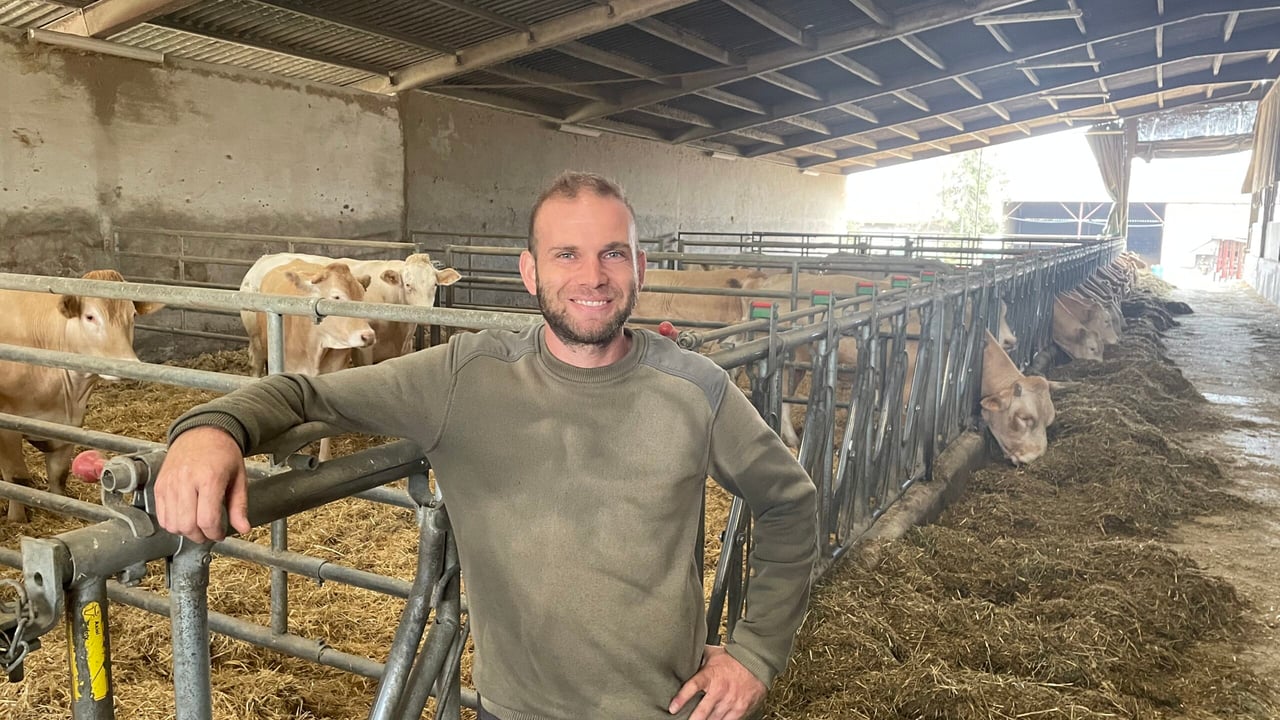 Maxime Brionnet in the bull-finishing shed on his family's 200ha farm near Clermont Ferrand, France