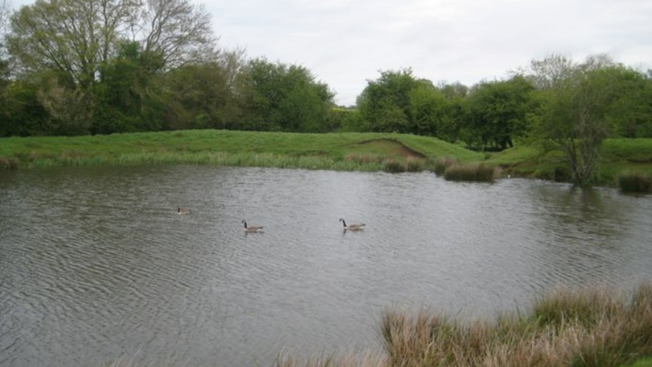 Trinity professor calls for private funding for 'ecosystem services'