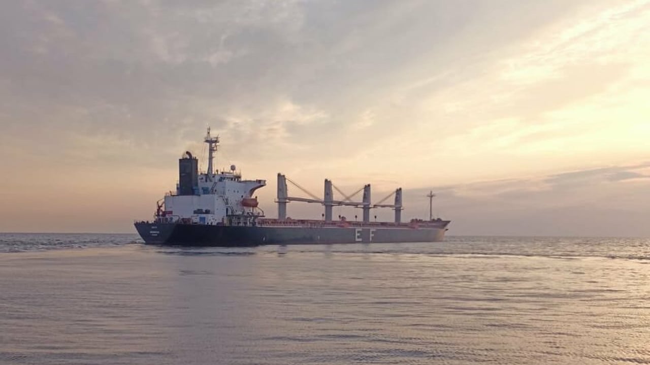 Ukrainian grain exports via the Black Sea continue. Source: Minister for Infrastructure of Ukraine, Oleksandr Kubrakov