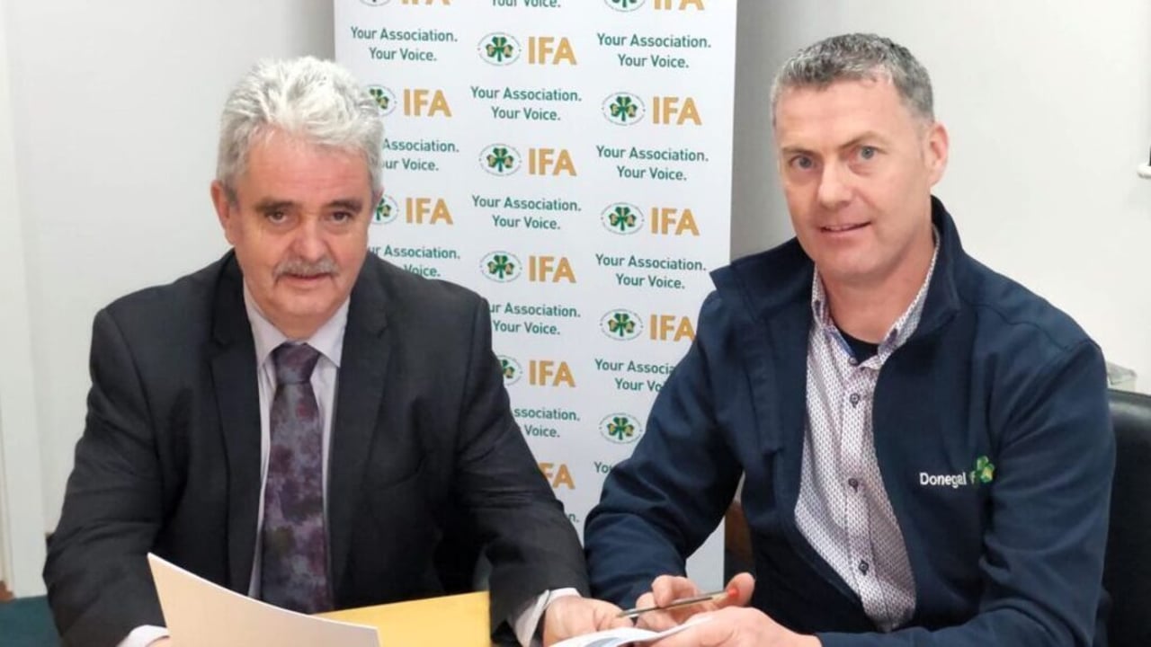 Adrian Gallagher elected as new IFA sheep chair
