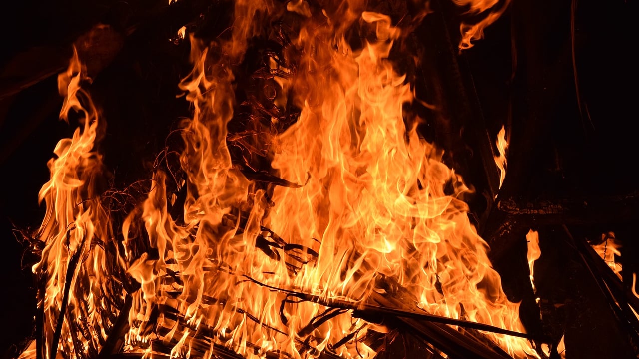 Final exemption for burning green waste ends next week