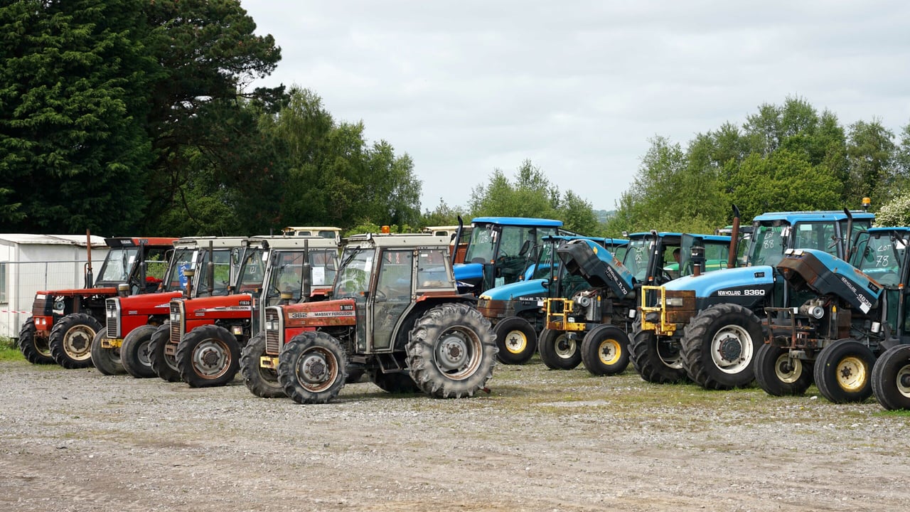 Wilsons Auctions awarded latest Bord na Móna contract
