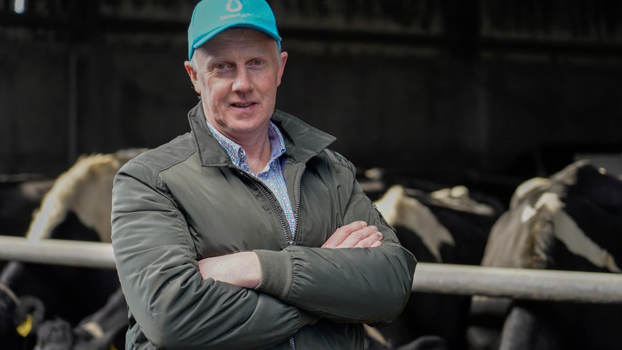 Eoghan McCarthy, dairy farmer 