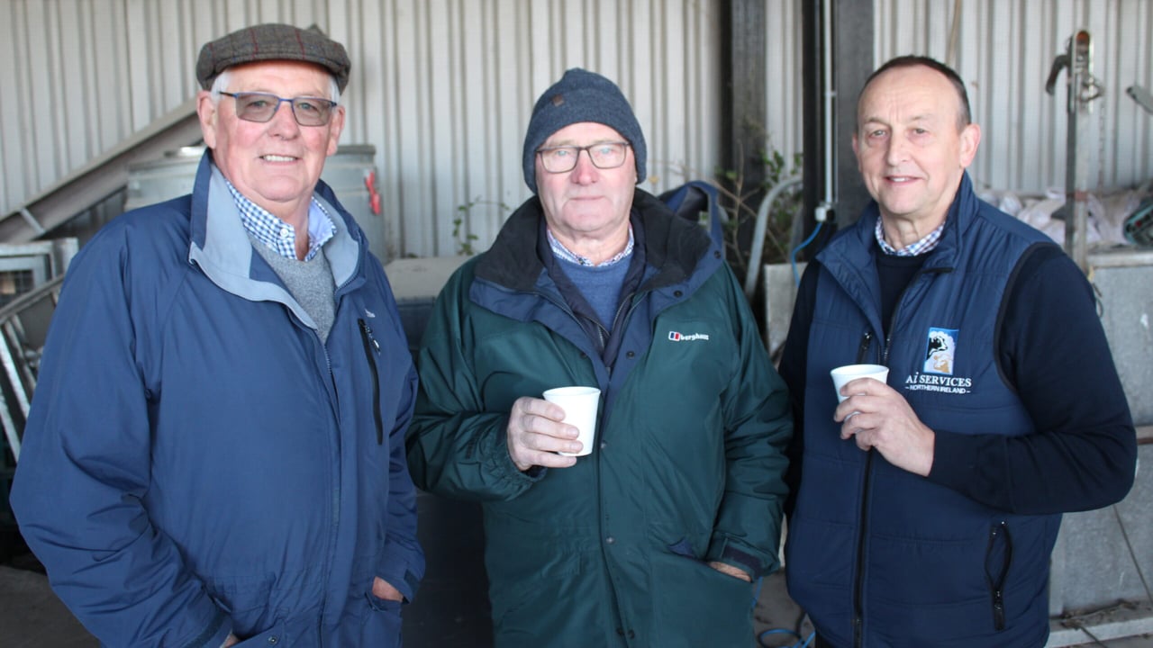 Focus: Ulster Grassland Society visit Draynes Farm