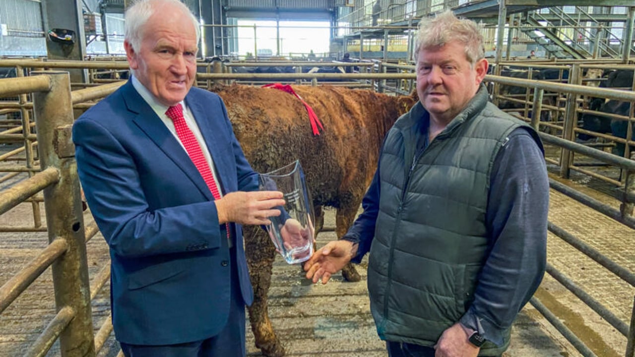 Jimmy Deenihan (left) presenting Pat O'Sullivan (right) with the best factory Heifer award