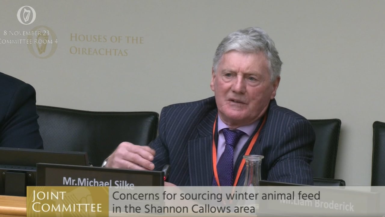 Ag committee told 'no fodder saved' because of Shannon flooding