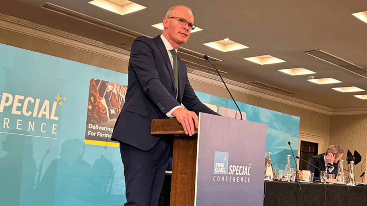 Coveney: Fine Gael will 'not allow an urban/rural divide'