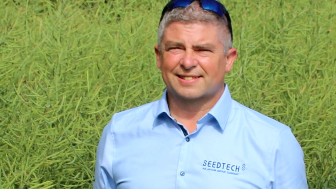 Winter cereal planting levels down by an estimated 40%