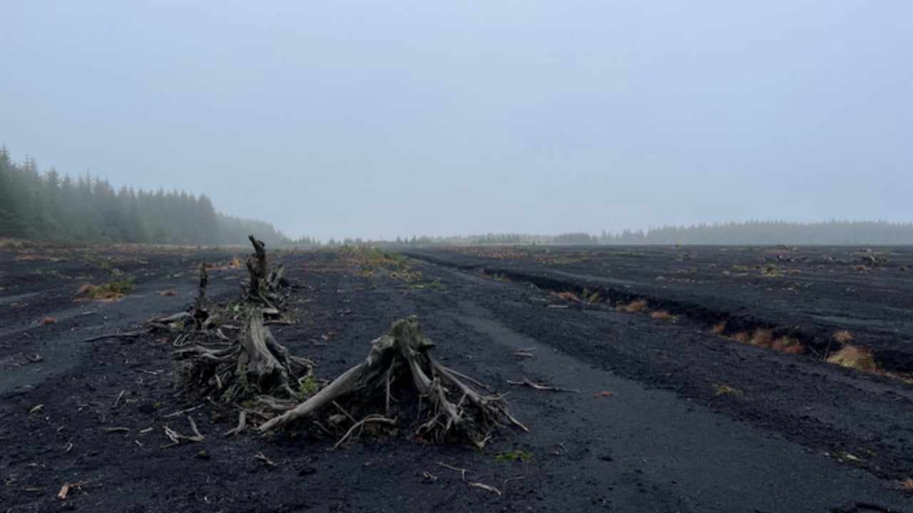 Tyrone bog to be transformed into peatland restoration hub