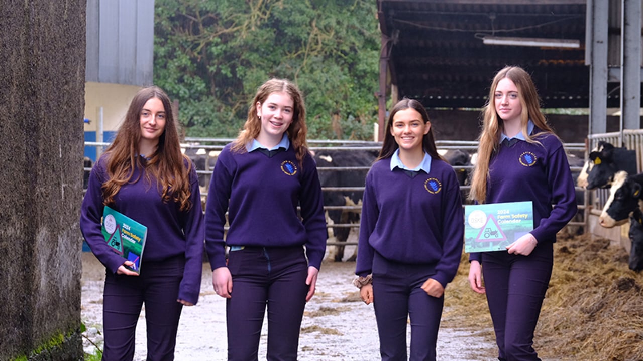 Leitrim students raise awareness by making farm safety calendar