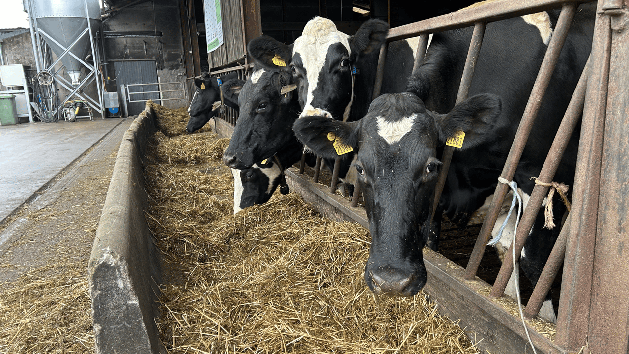 Winter-milk: Know your cost of production