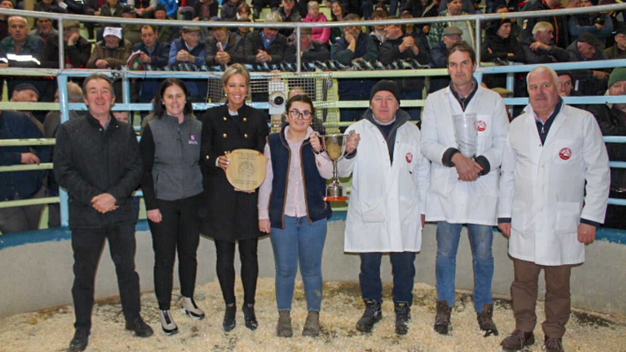 The Supreme Champion bullock was owned by Molly O'Sullivan from Kilskeam, Co. Cork. The 805kg Belgian Blue bullock sold for €3,520 (Class sponsored by AIB Kanturk). Source: Kanturk Mart
