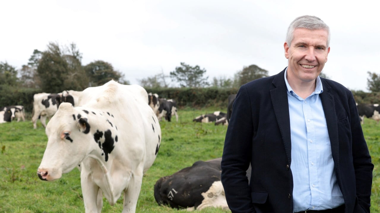 Dairy Council for Northern Ireland chief executive, Ian Stevenson
