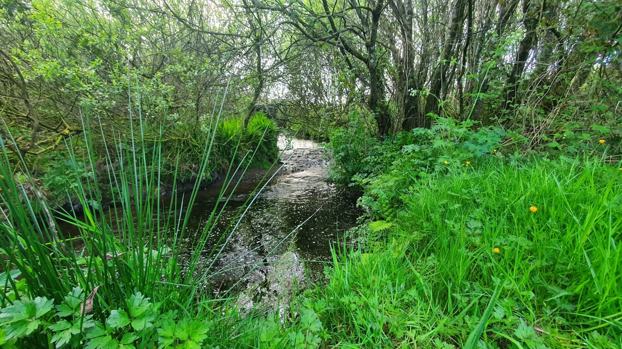 : Hometree’s first site in Co.Cork which will be used as an educational facility. 