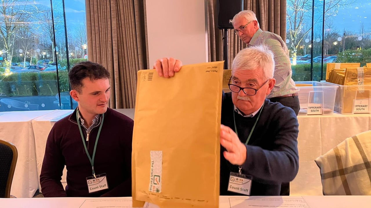 Counting underway in IFA presidential elections