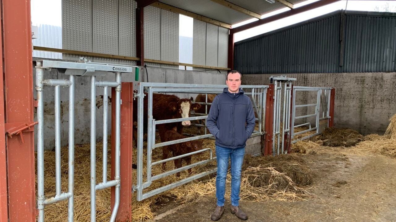 Beef Focus revisited: Young Monaghan farmer’s model suckler setup