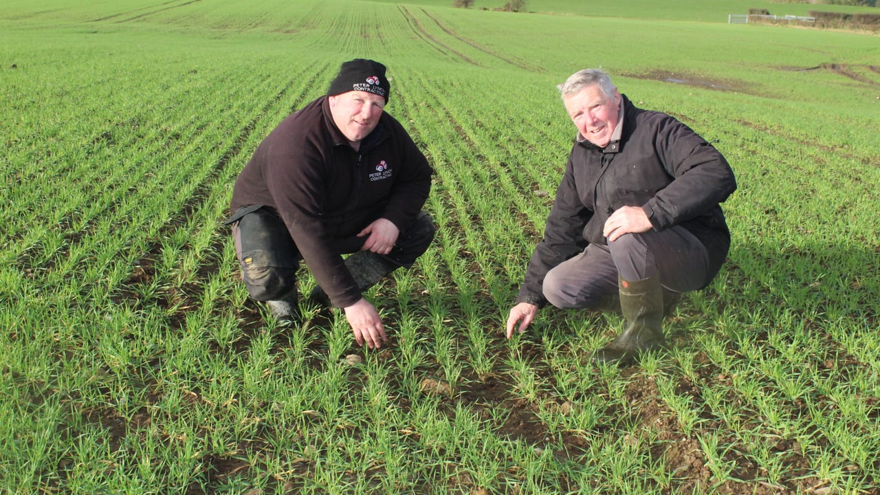 Peter and George Lynch (right) examining a winter barley crop sown out during October on their East Donegal farm