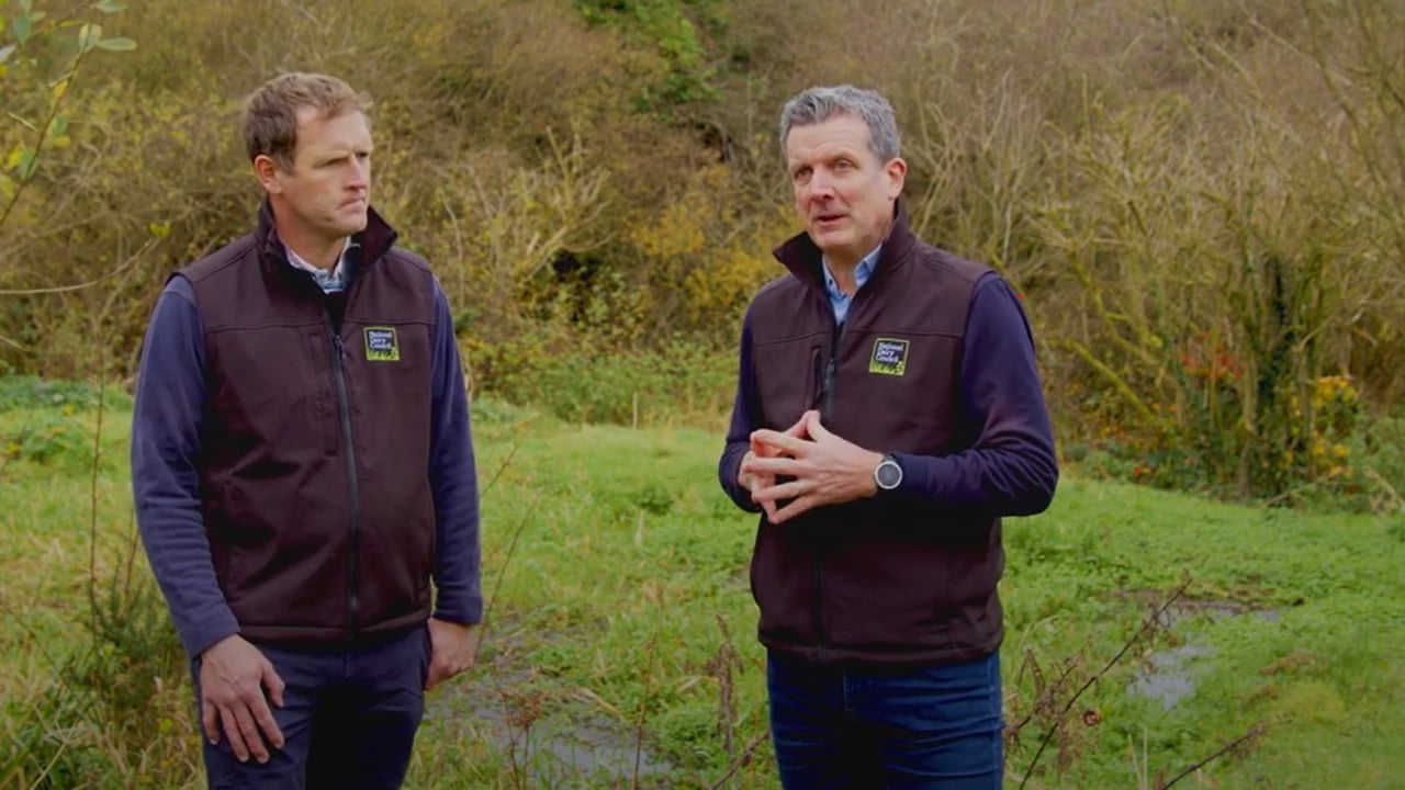 NDC Spotlight Series: Securing the future for Irish dairy