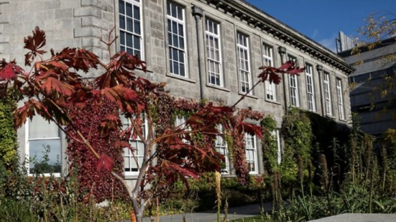 Trinity College Dublin. Photo source: @tcddublin