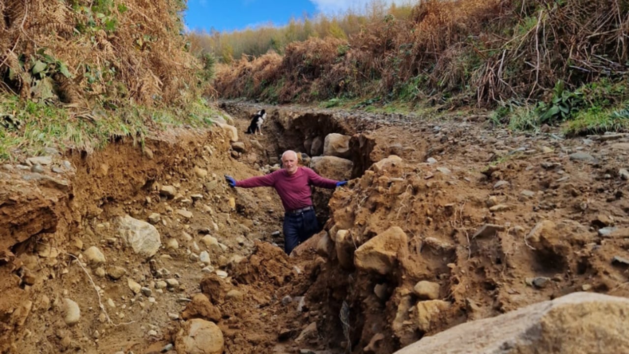 Christmas tree farmer unable to access land due to flooding damage