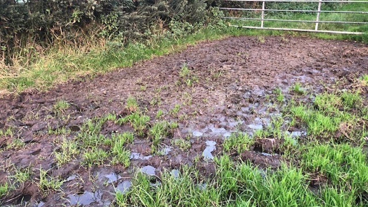 UFU: 2023 was a 'turbulent year' for farmers