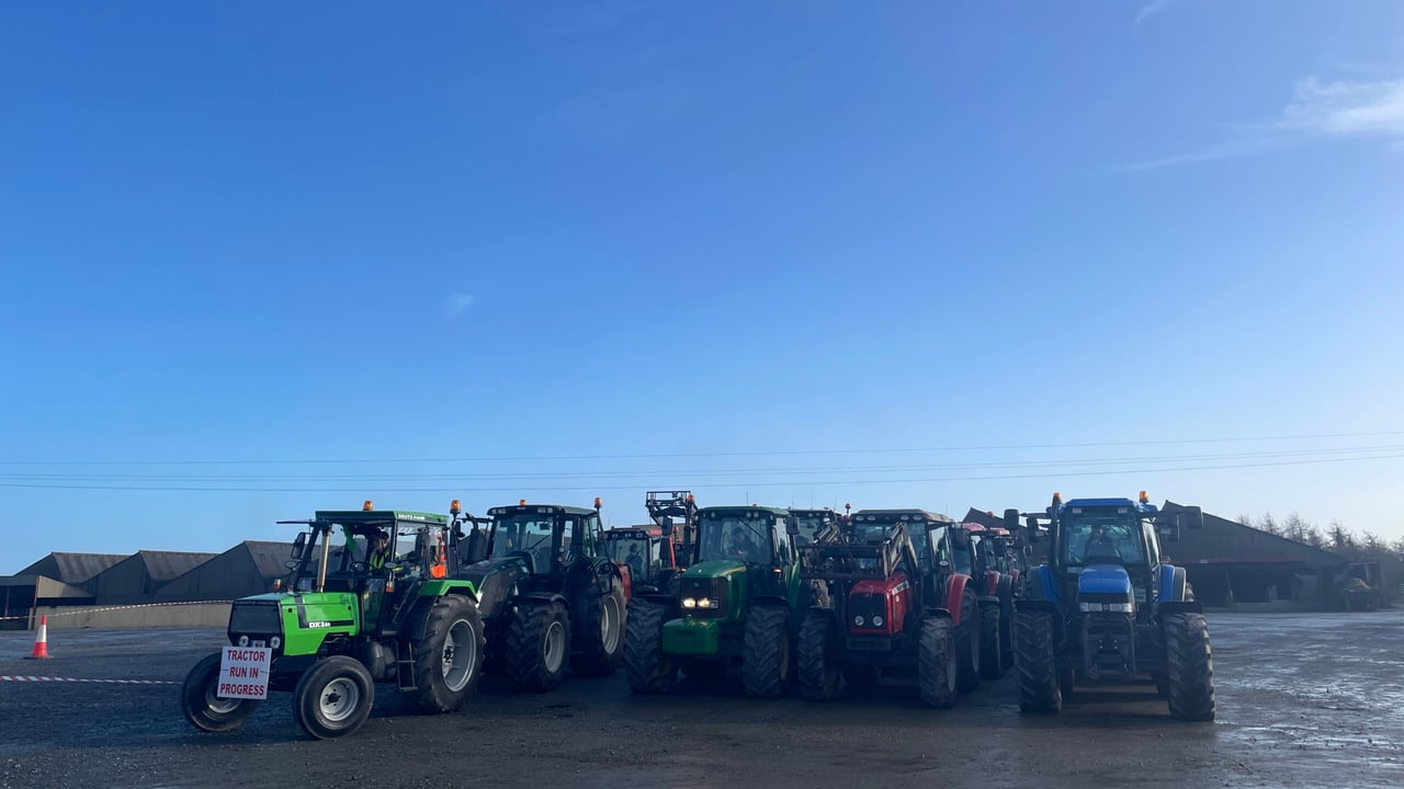 A selection of tractors at Enniscorthy mart, including a Deutz-Fahr DX 3.90 on the extreme left, driven by organiser John Asple