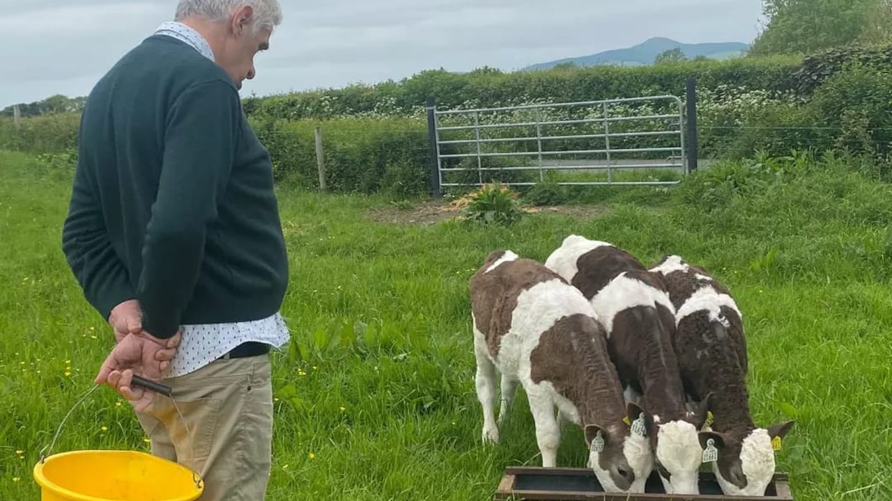 Engaging in a social farm placement in north Co. Tipperary Source: Social Farming Ireland via X