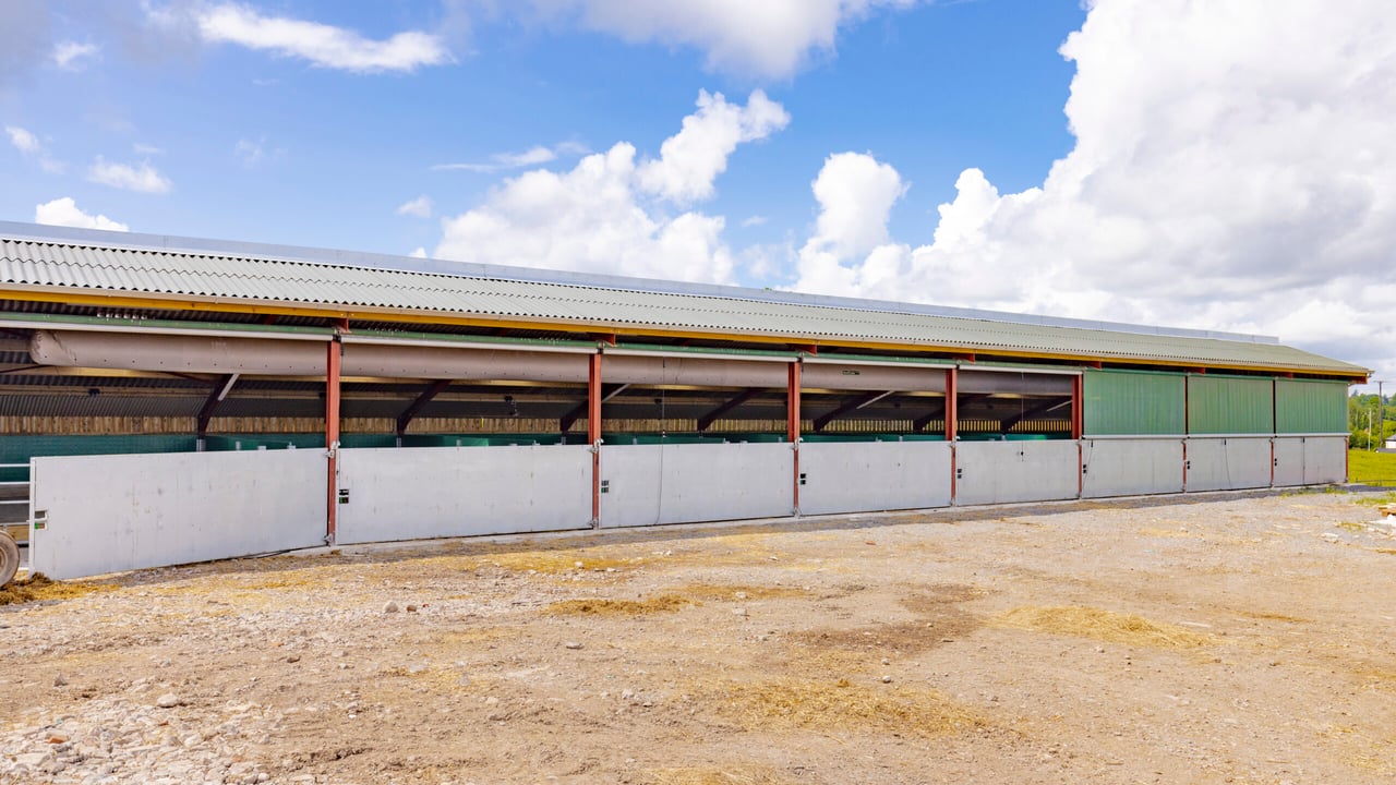 Mono Calf building 