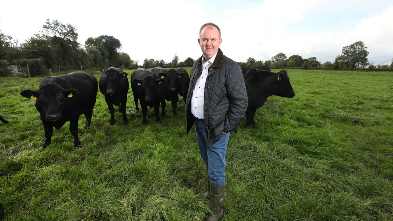Off-season price bonus for Angus cattle announced