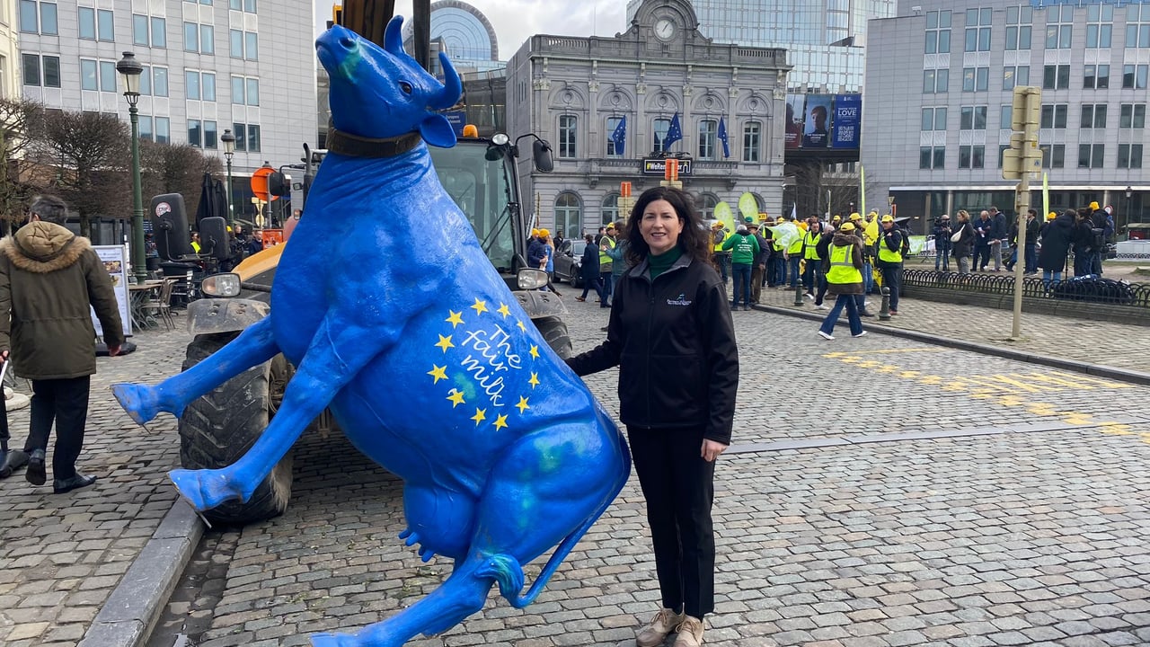 Helen O'Sullivan, pictured in Brussels, who has resigned from the Farmers' Alliance Party  Source: Helen O'Sullivan
