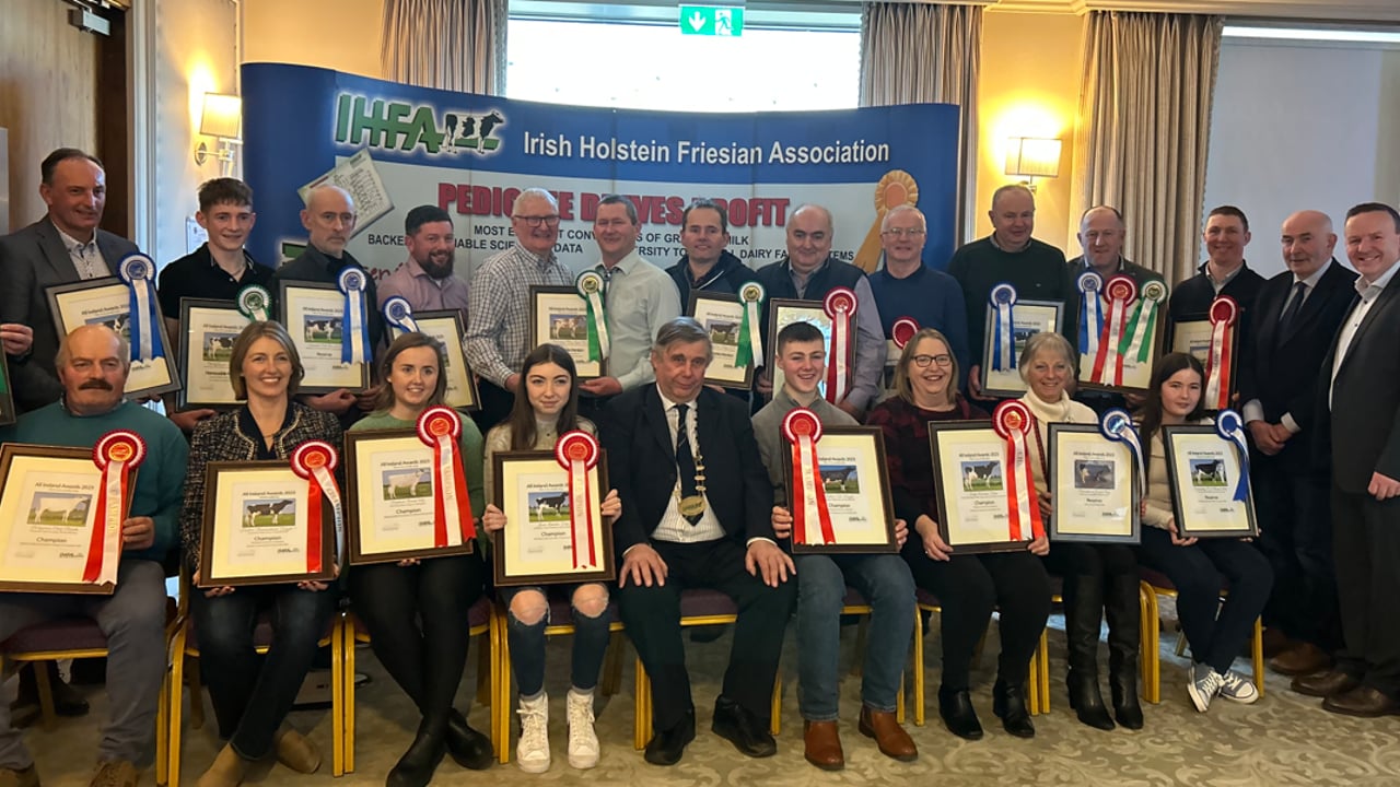 IHFA All-Ireland award winners celebrate in Co. Laois