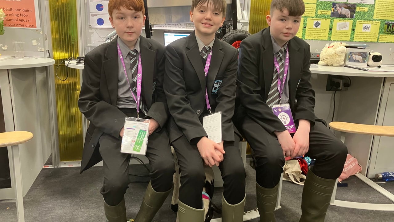 Agri projects on display for the 2024 BT Young Scientist