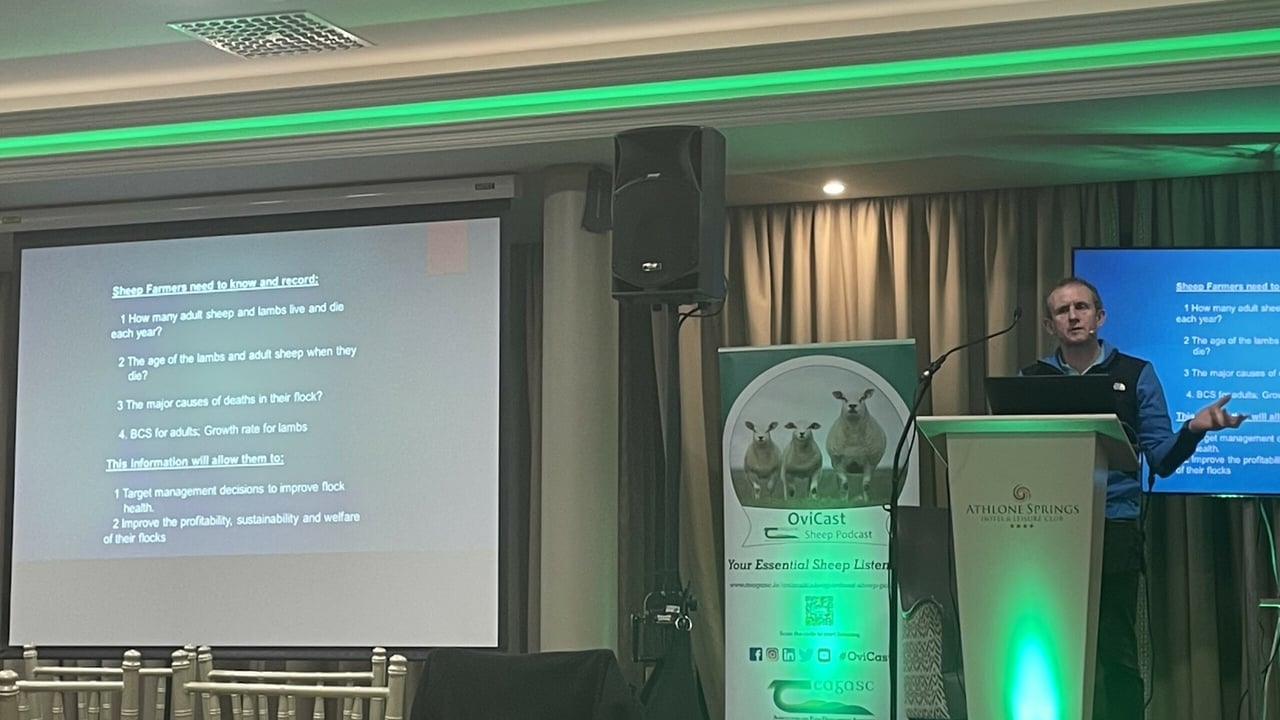 Seamus Fagan, veterinary research officer at DAFM Regional Veterinary Laboratories (RVL) in Athlone