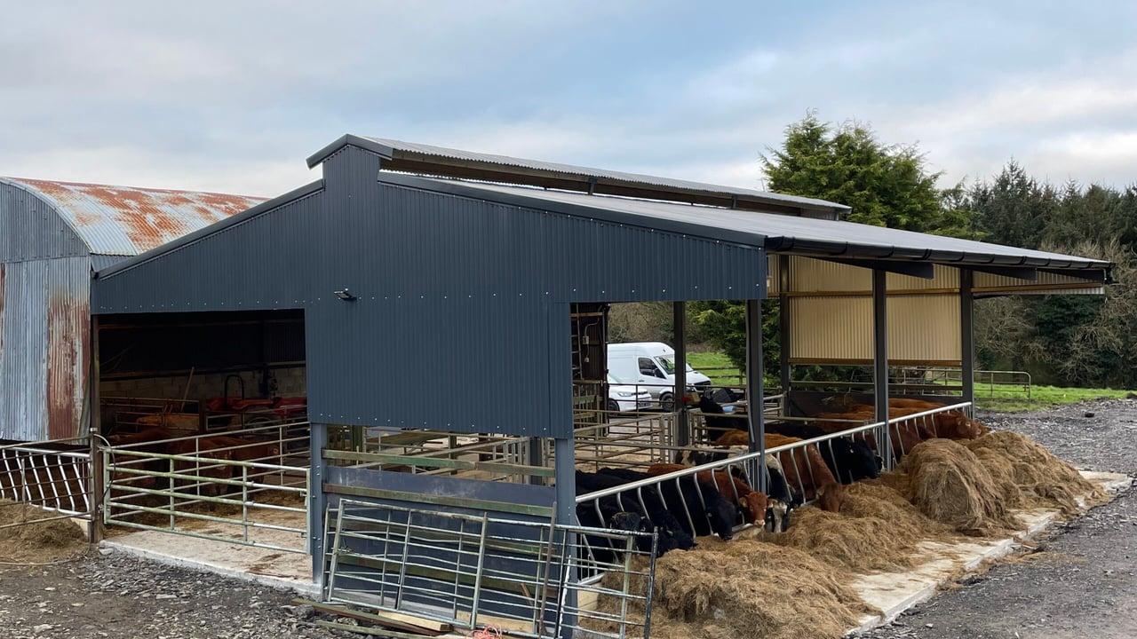 Buildings Focus: Merging a new slatted shed with an old hay shed