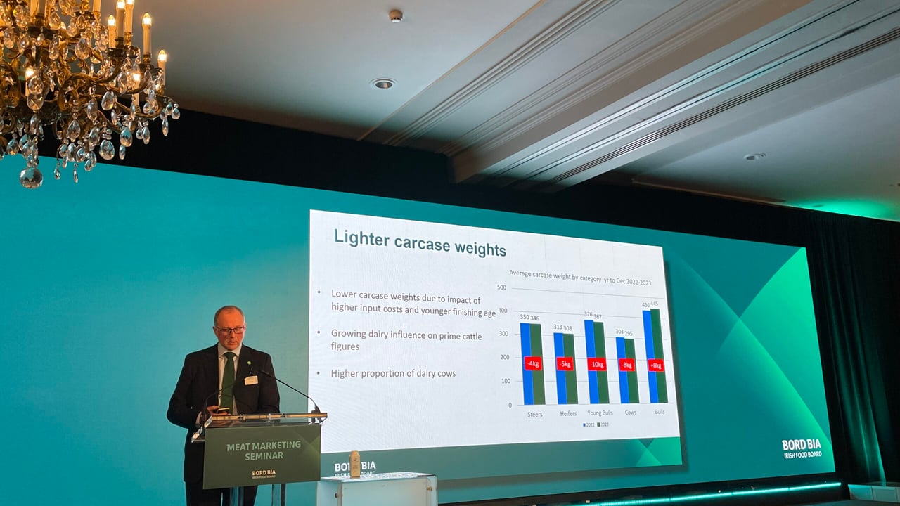Bord Bia's beef sector manager Mark Zieg speaking at the Bord Bia Meat Marketing Seminar 2024