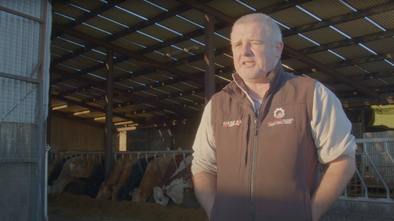 Watch: Meath farmer lays bare realities of 20-year battle with TB