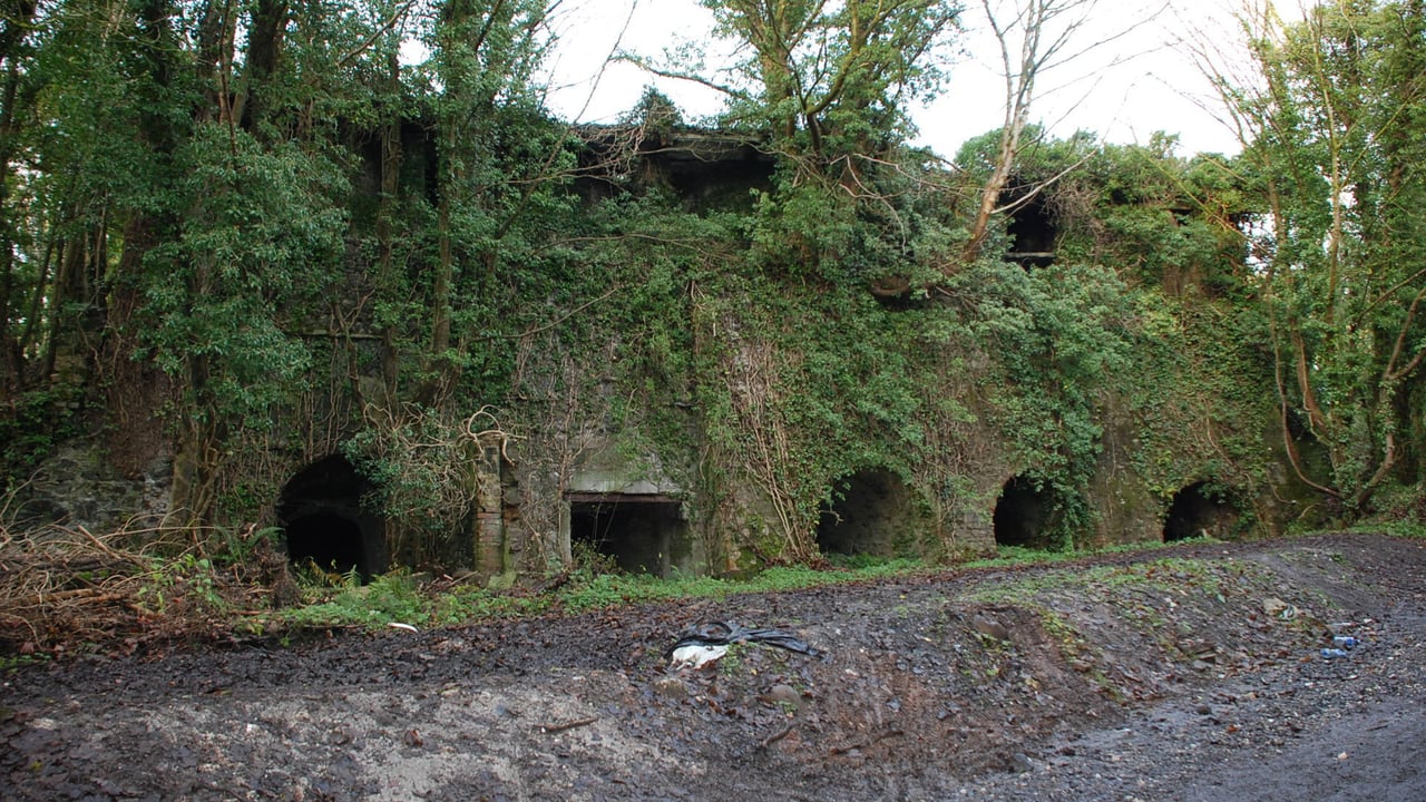 Moneybroom Lime Kilns before the incident. Source: Department for Communities