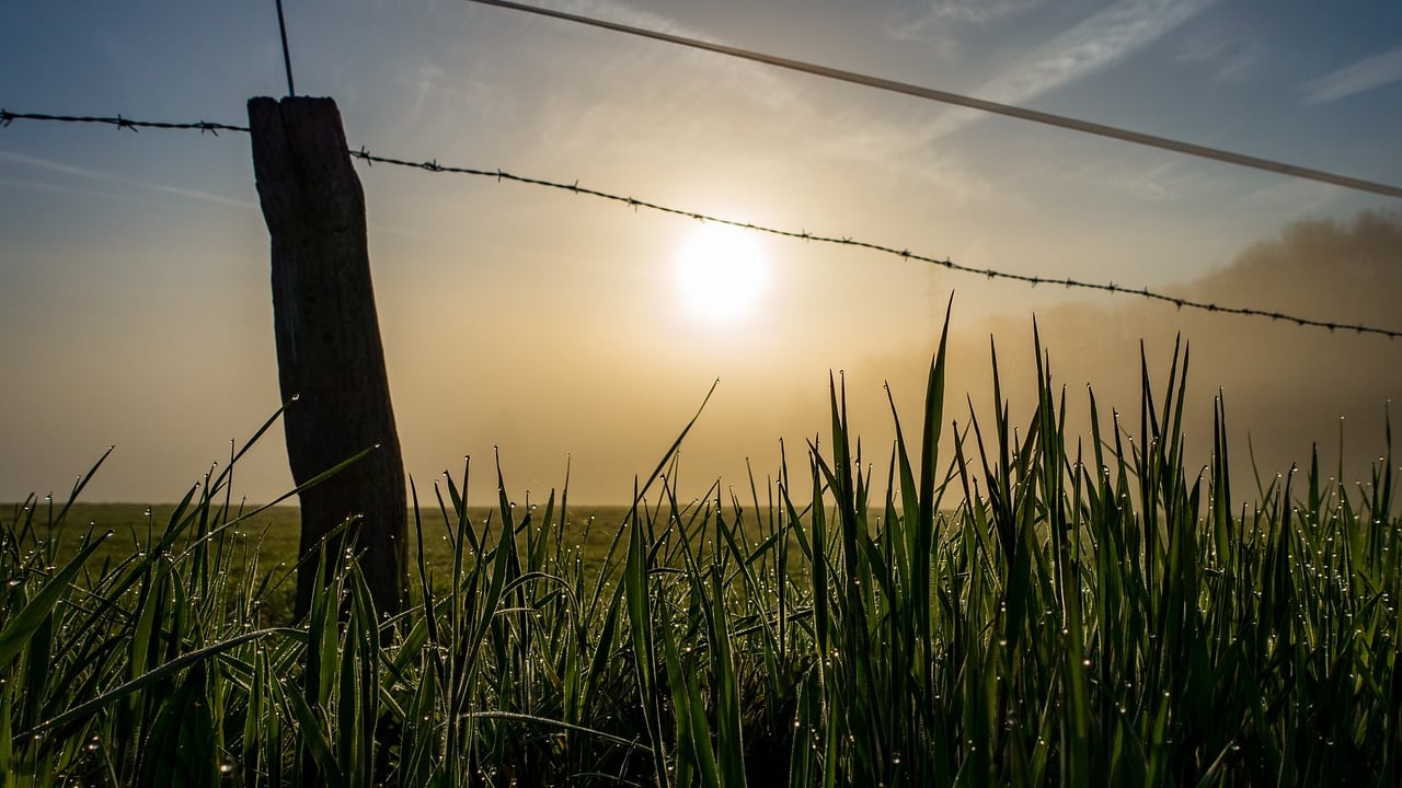 Research reveals potential impact of ban on glyphosate