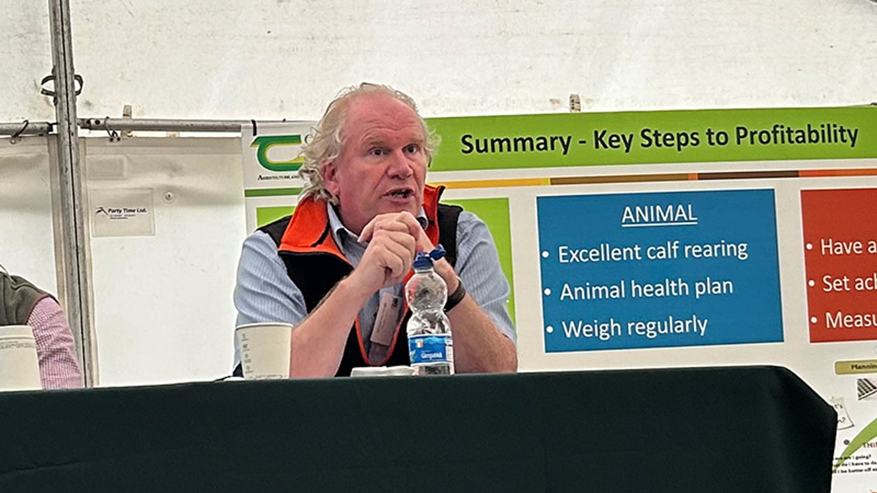 Martin Kavanagh, interim CEO, Munster Bovine