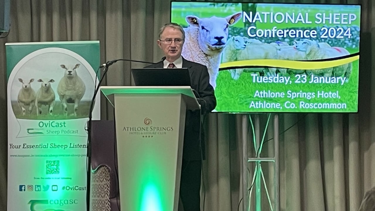 Teagasc director Prof. Frank O'Mara speaking at the Teagasc National Lowland Sheep Conference in 2024