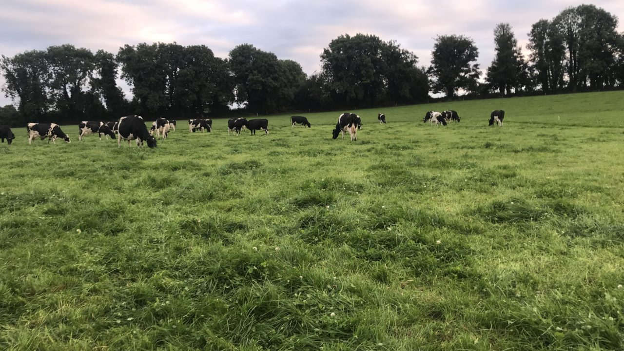Are the days of early spring grazing over?