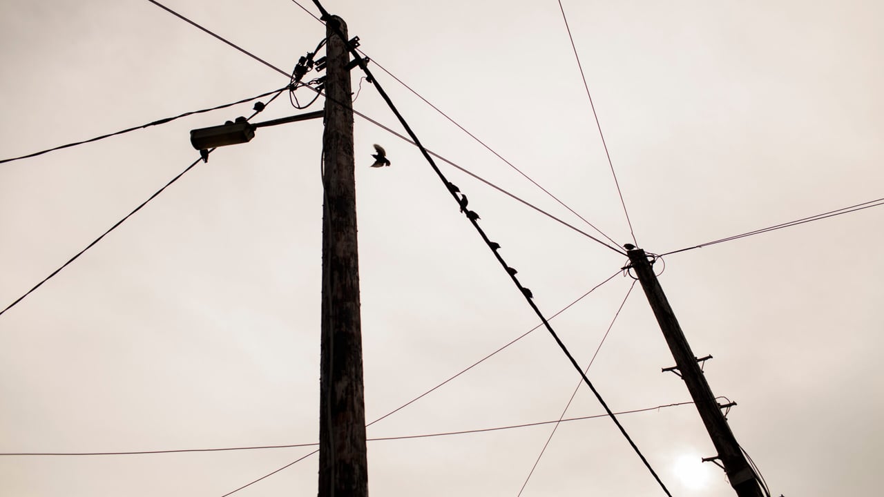 MEP calls for investment in 'outdated' electricity grid
