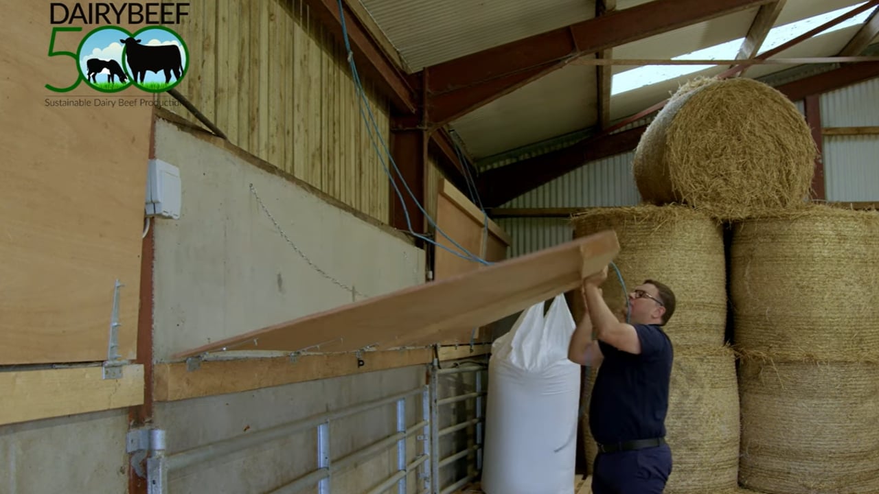 Watch: Advice for farmers on setting up calf-rearing sheds