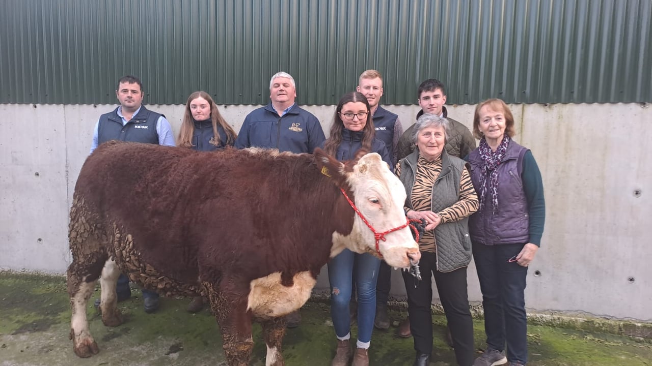 L-R: David Coyne, Kepak; Tara Drumm; Niall Daly, Irish Hereford Prime; Elisa Drumm; Josh Wall, Kepak; Elliot Potterton, Delvin Mart; Maura Drum, North Westmeath Hospice; Mary Cully, North Westmeath Hospice.