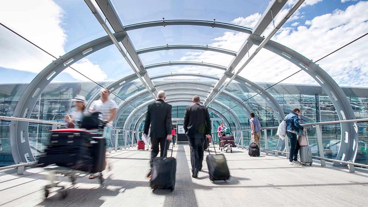 Holidaymakers urged to know law on illegal plant and animal trade