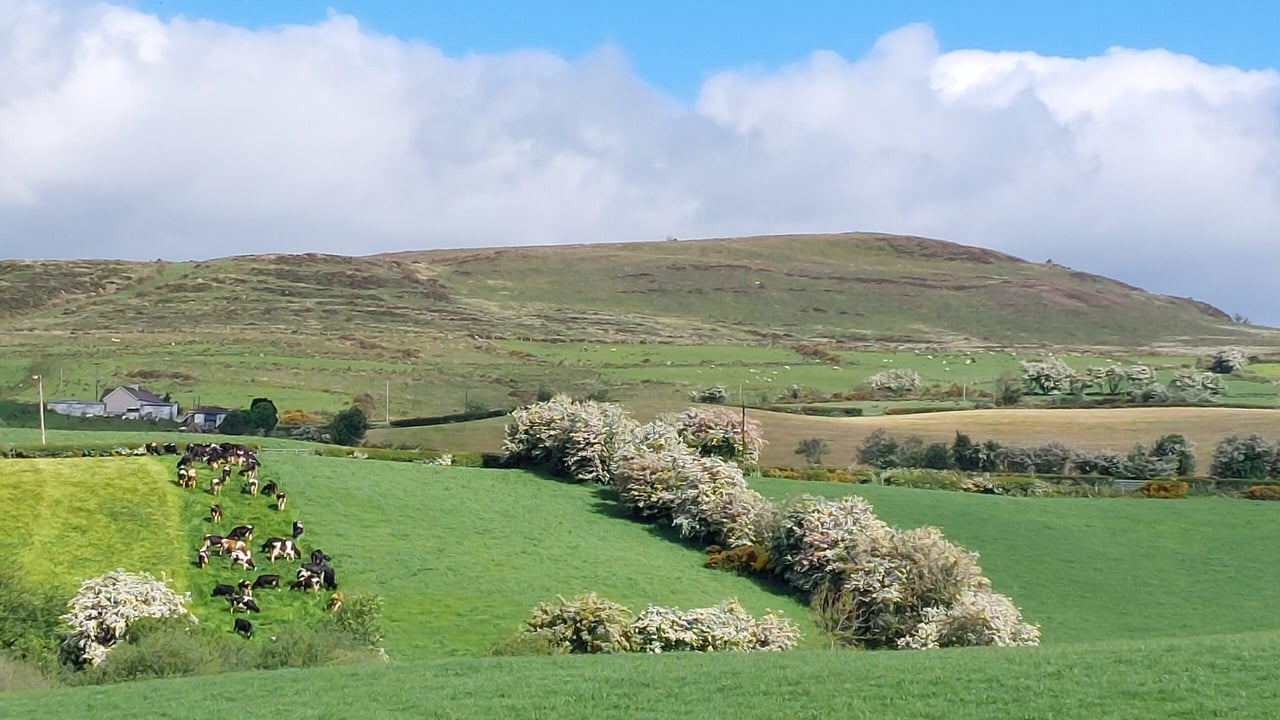 New course aims to make farms more pollinator friendly