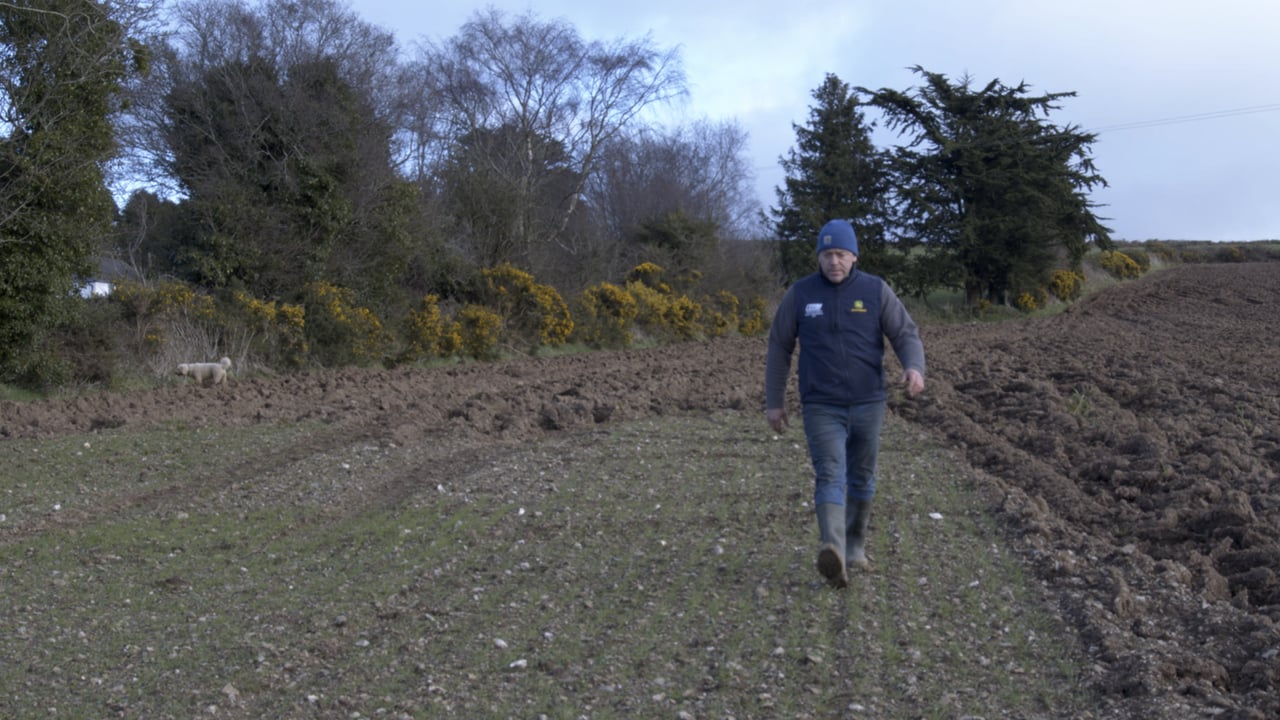 Organics Series: Watch - Wicklow farmer discusses conversion