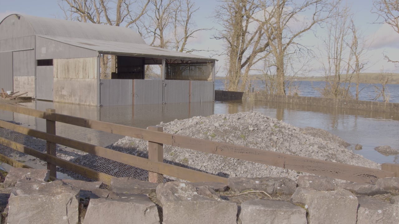 Video: Farmers' heartbreak over flooding at Lough Funshinagh