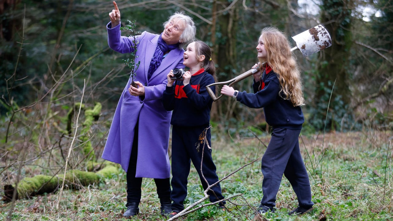 Pictured at Coillte’s Avondale Forest Park are Aedín Doyle and Mollie O'Neill, with Éanna Ni Lamhna, National Tree Council Source: Julien Behal Photography via Coillte